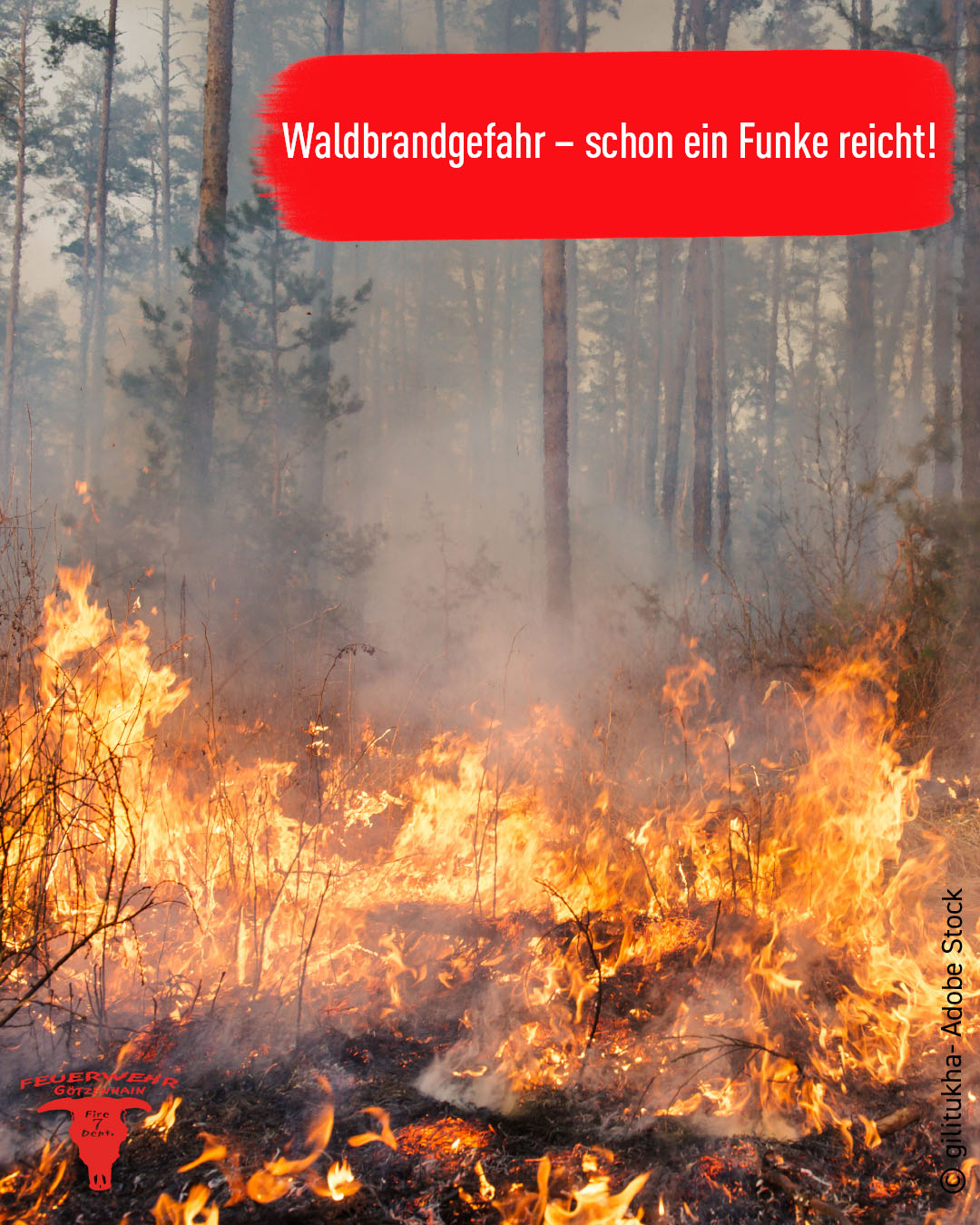 Waldbrandgefahr